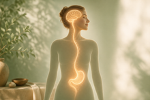 The Vagus Nerve: Your Body's Built-In Calm Switch