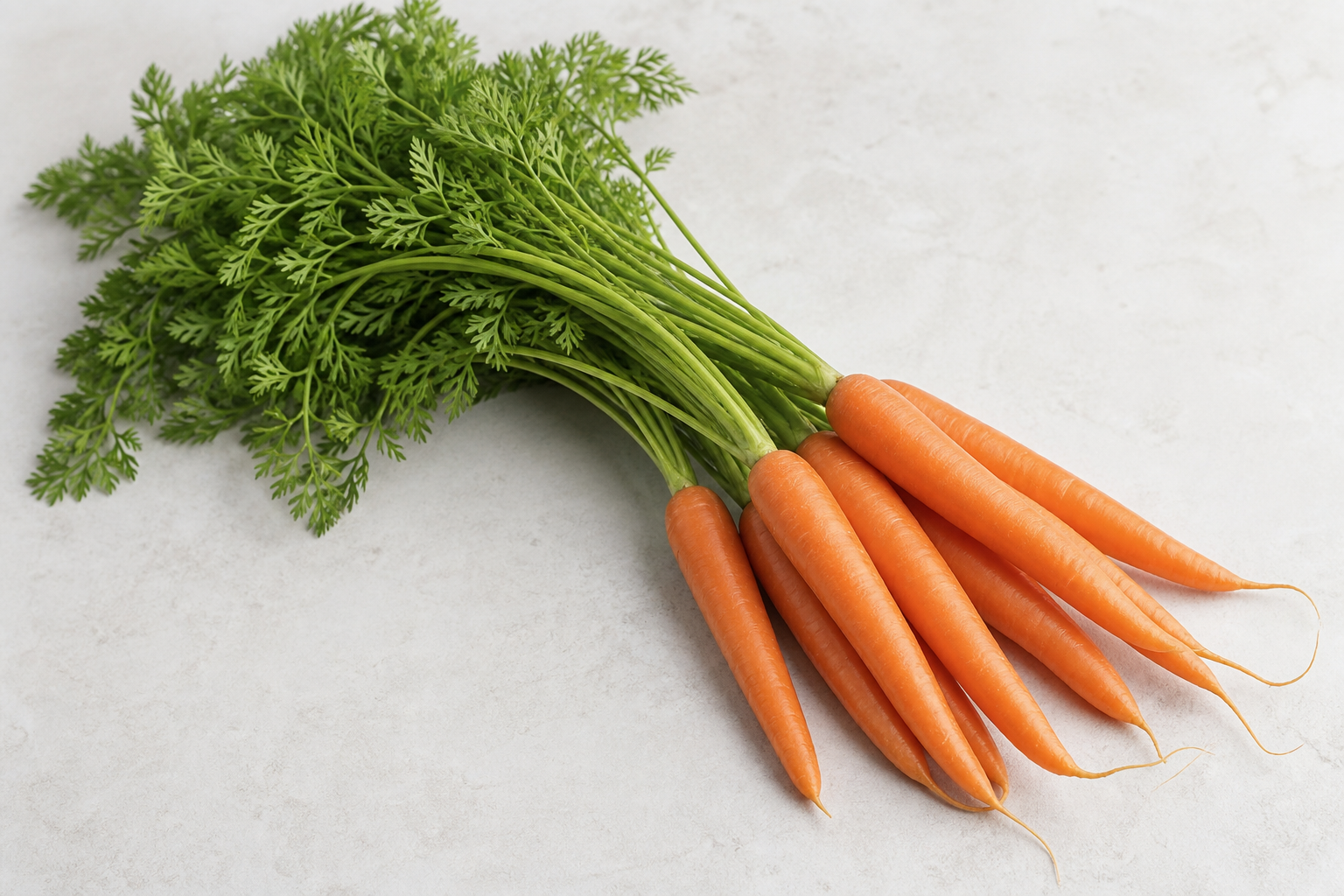 Carrots: A Specific Pectin Fragment With Consistent Fermentation Results