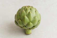 Globe Artichoke: A Longer-Lasting Prebiotic, Proven in a Real Human Trial