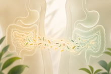 Fecal Microbiota Transplant: What It Actually Is (Part 1 of 2)