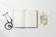 IBS vs IBD: What's the Real Difference?