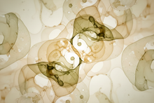 Your Gut Lining: What It Is and Why It Matters (Part 2 of 2)