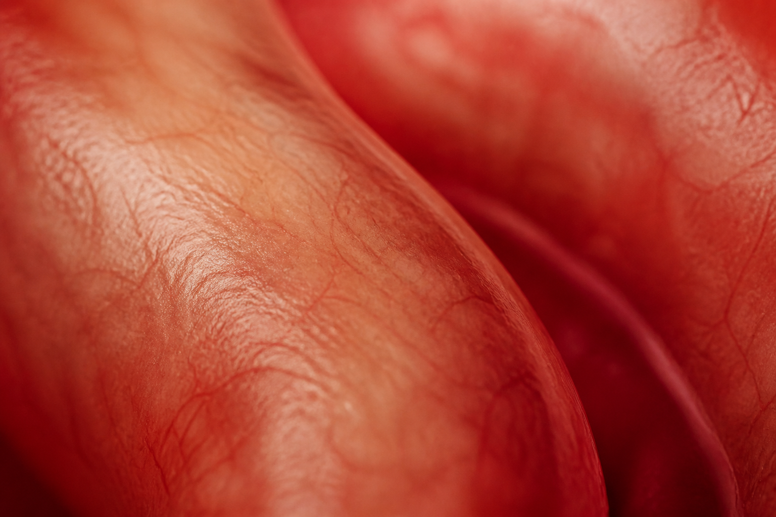 Abstract macro close-up of a warm reddish tissue-like texture with a fine surface