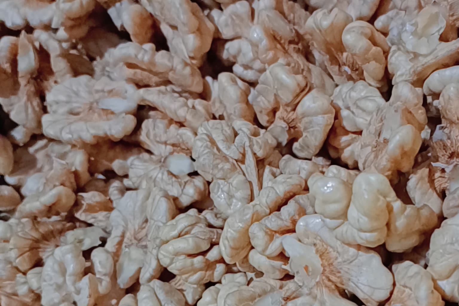 Walnuts and water glass
