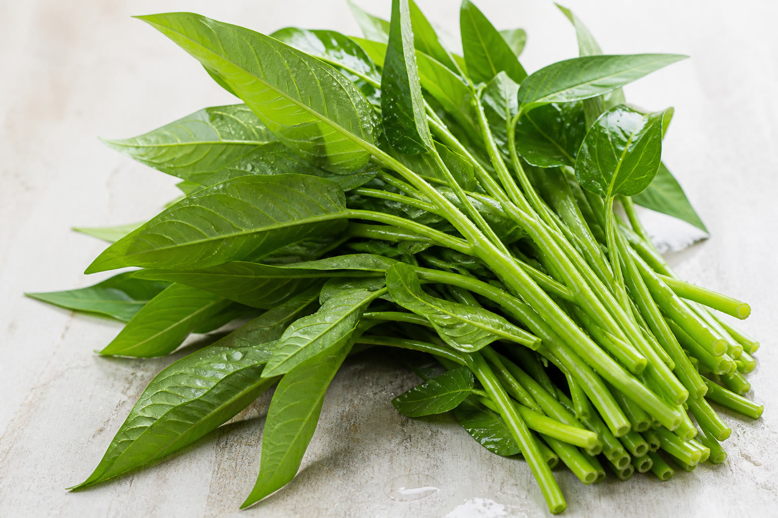 Fresh kangkong water spinach with water droplets on the leaves