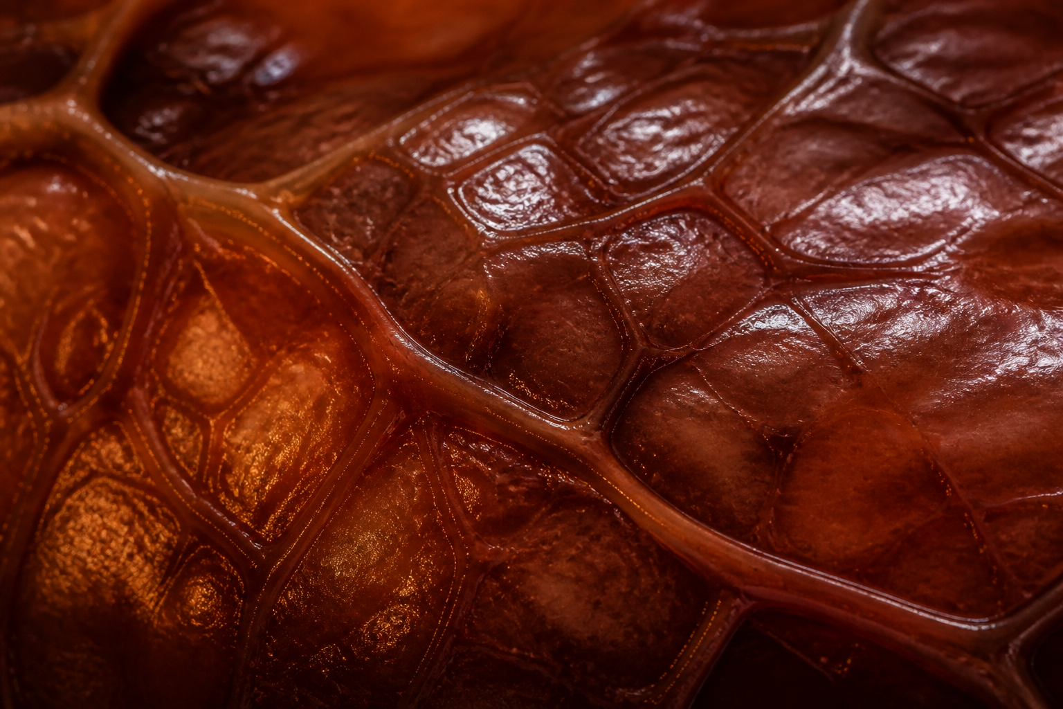 Abstract macro close-up of dark amber liver-evocative tissue texture in soft warm light