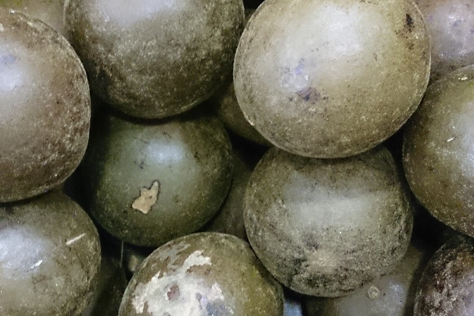 Monk fruit and sweetener powder