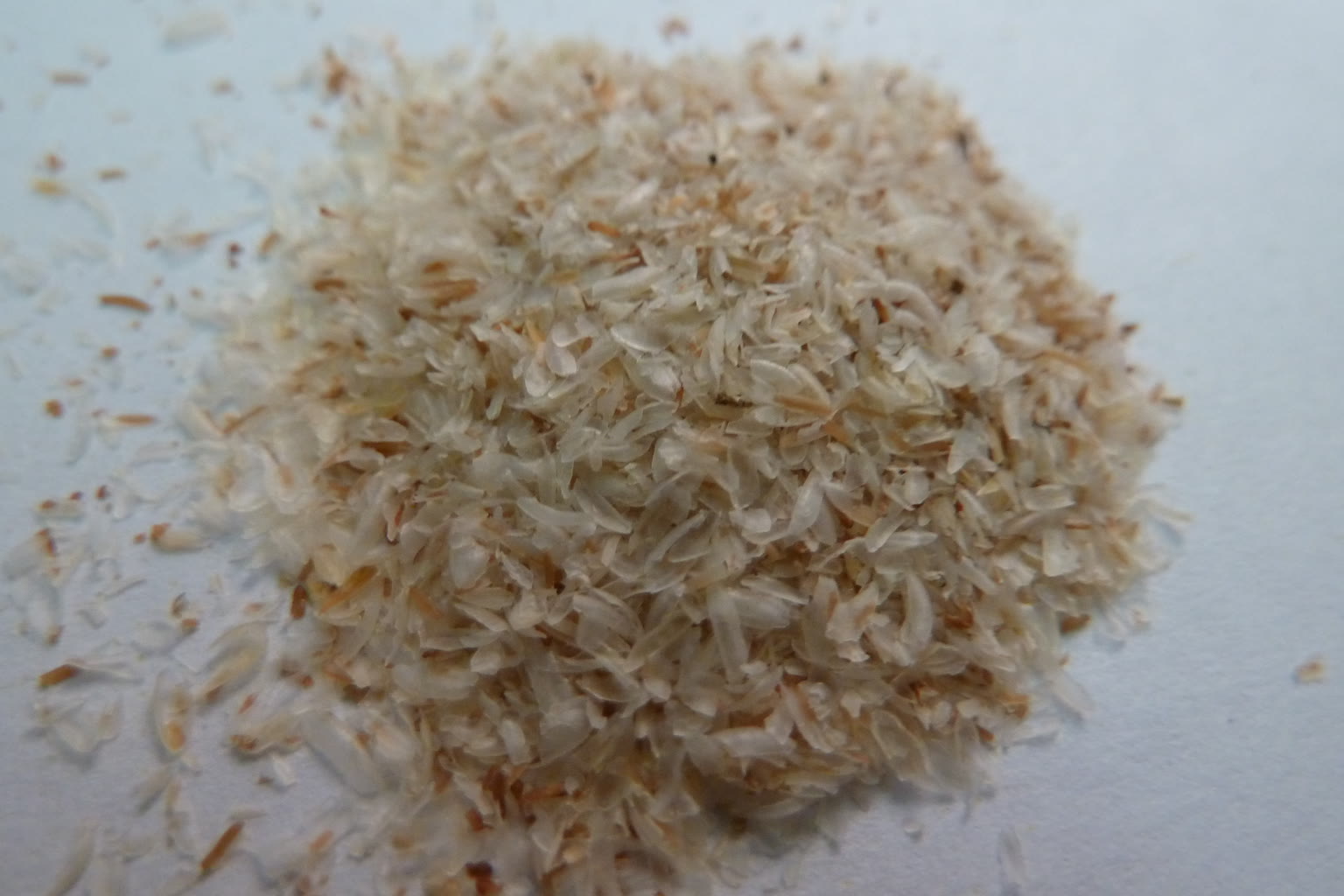 Psyllium husk powder spoon over water