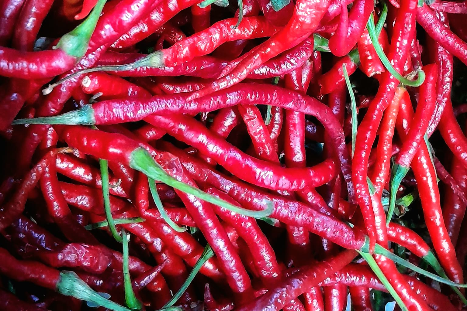 Fresh chili peppers on cutting board