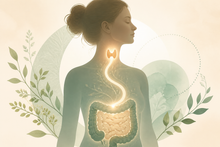 Thyroid Health and Your Gut: A Deeper Look (Part 2 of 2)